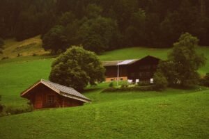 Pension Ramsau am Dachstein: Urlaub mit Charakter