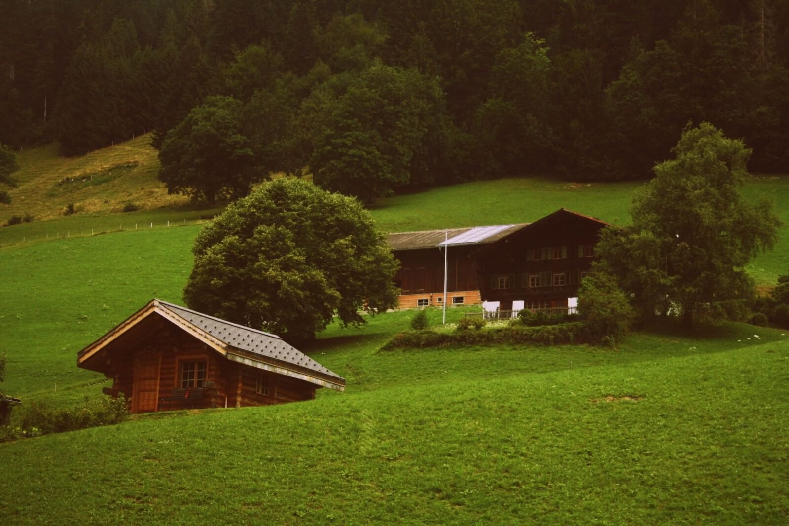 Pension Ramsau am Dachstein: Urlaub mit Charakter