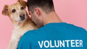 Top 5 kostenfreie Beratungsangebote für Hundehalter
